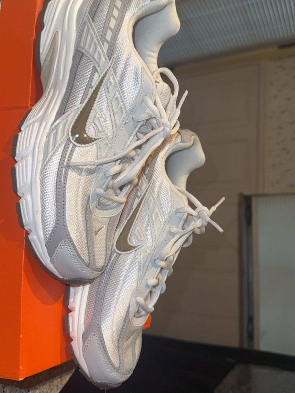 Nike Women's White and Silver Metallic Mesh Trainers
